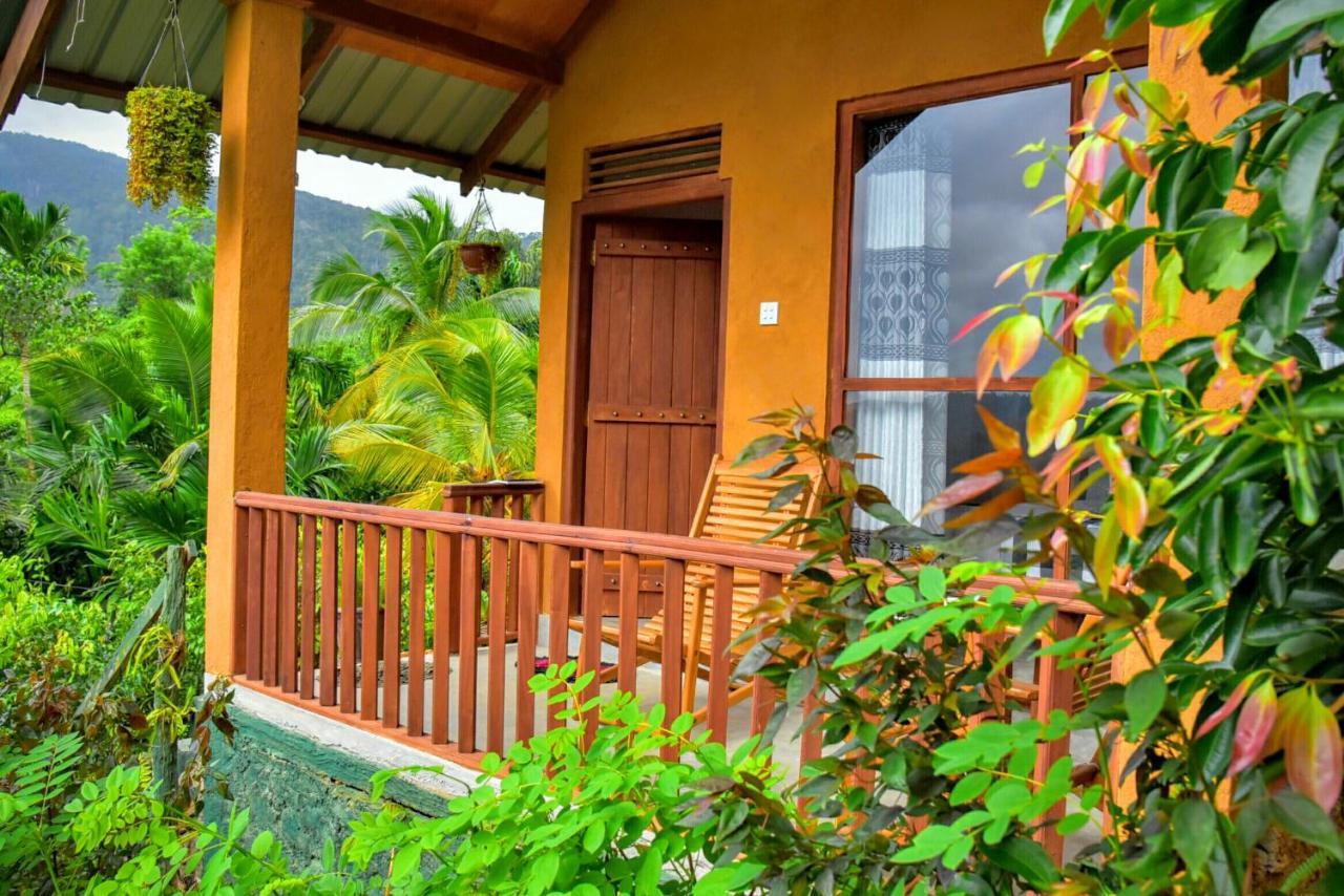 Rainforest Nature House Deniyaya Kültér fotó