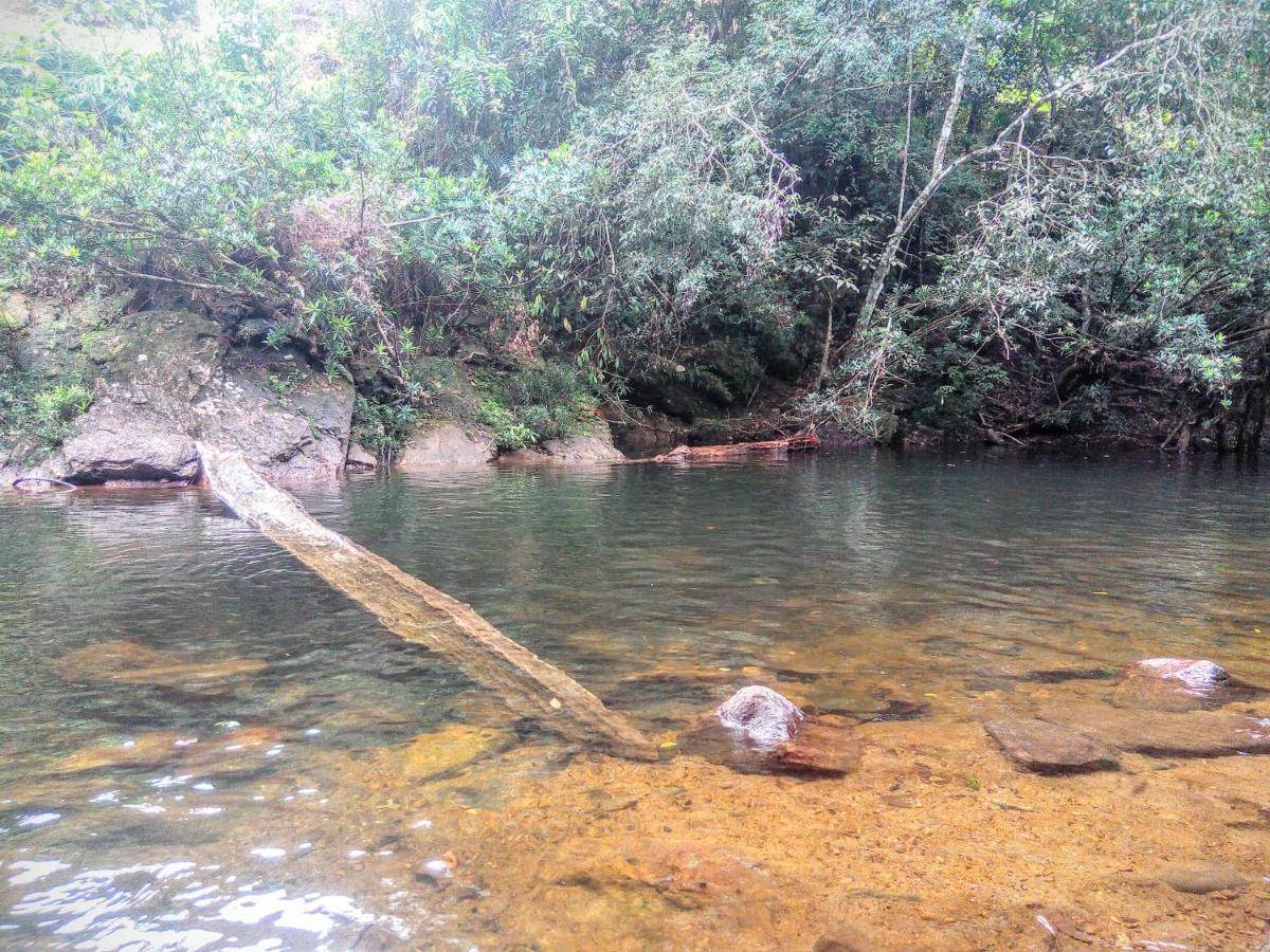 Rainforest Nature House Deniyaya Kültér fotó