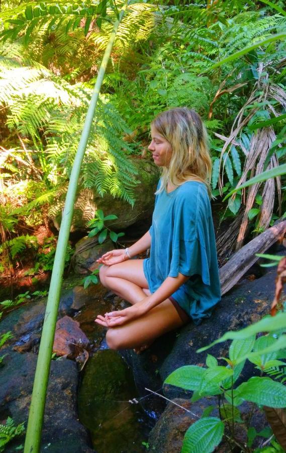 Rainforest Nature House Deniyaya Kültér fotó