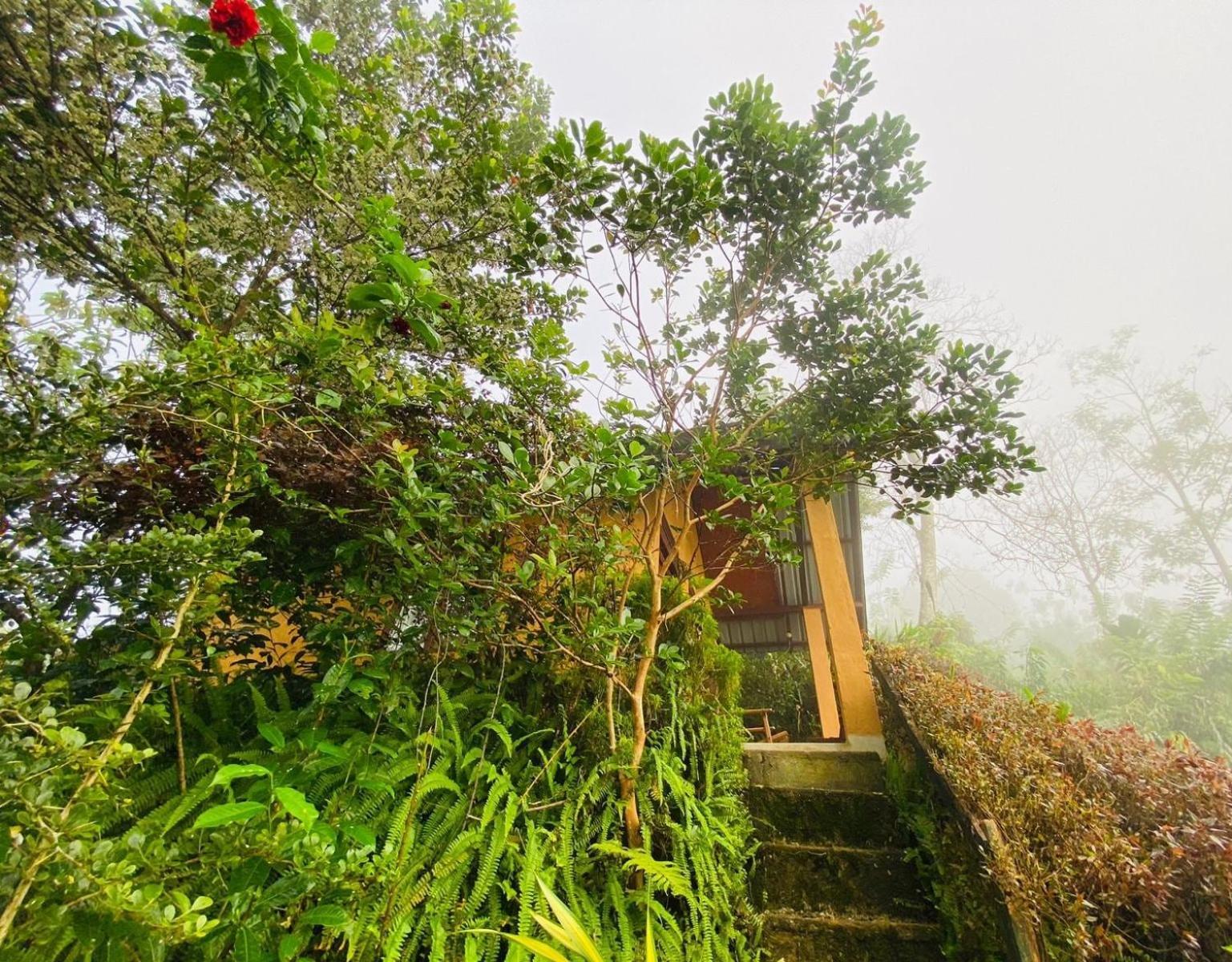 Rainforest Nature House Deniyaya Szoba fotó